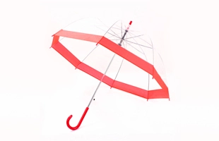 3204208 Transparent Princess Umbrella