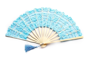 3204113 Lace Fabric Fan