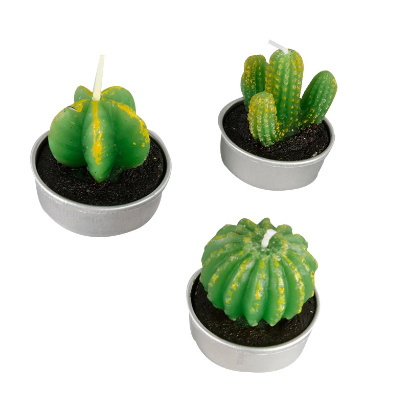 cactus tealight candles