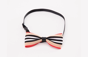 3404056 Pet Elastic Collar Bow Tie