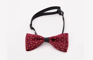 3404057 Pet Elastic Collar Bow Tie