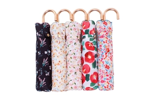 3204202 Floral Foldable Umbrella