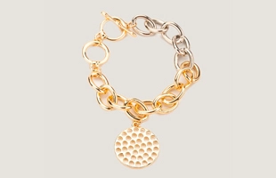 3104157 Disc Drop Charm & Link Bracelet