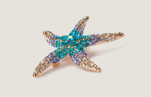 3104169 Multi Blue Stone Starfish Brooch