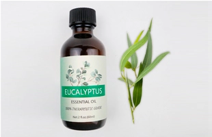 3504188 Eucalyptus Essential Oil
