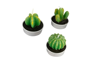 3504176 Imitation Plant Tealight