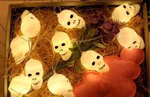 3504203 Halloween Skull String Lights