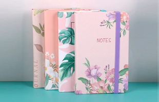 3304532 Journals & Notebooks