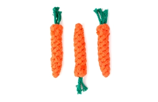 3404090 Dog Carrot Shaped Toy
