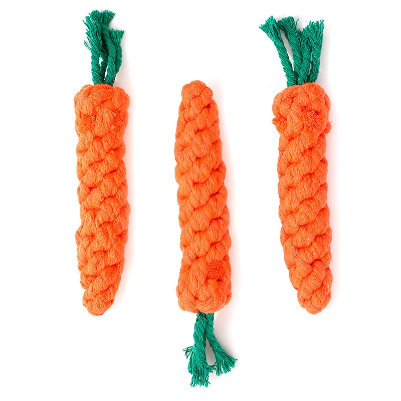 carrot toy for dog