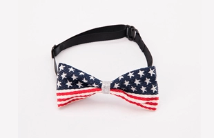 3404058 Pet Elastic Collar Bow Tie