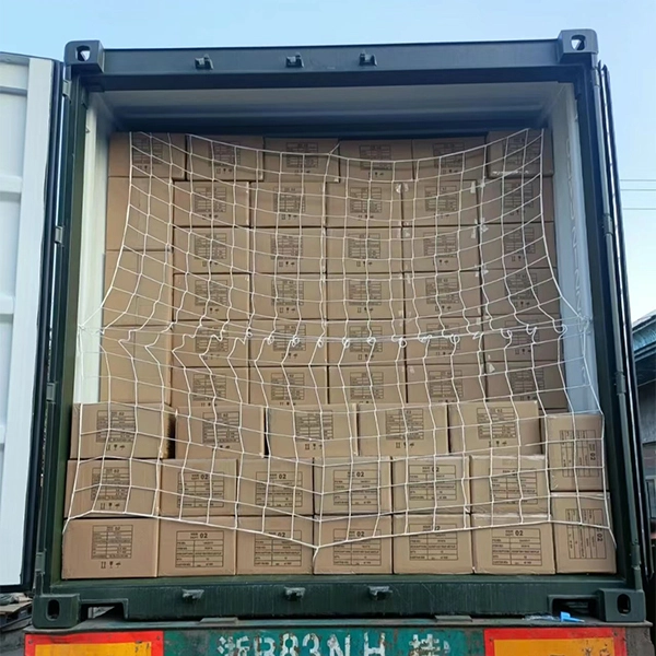 Christmas Novelty Program