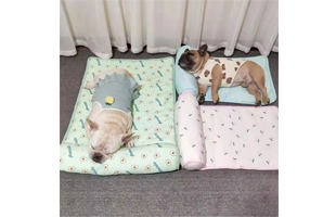 4305290 Summer Green Pink Blue Ice Silk Dog Cooling Mat Cheap Price Wholesale Supplier