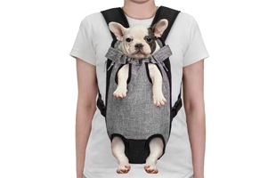 4305317 Outdoor Backpack Pet Bag For Cat And Dog Backpack Breathable Cheap Price Wholesale Supplier