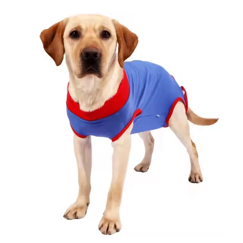 4305342 blue recovery suit for dogs cheap price wholesale supplier