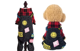 4305352 Halloween Funn Dog Clothes