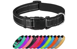 4305354 Tactical Dog Collar