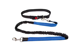 4305357 Retractable Pet Dog Leash