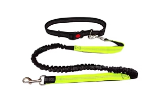 4305359 Pet Dog Sports Leash