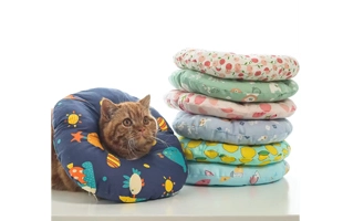 4305362 Elizabet Pet Dog Cat Collar