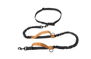 4305366 Dog Leash