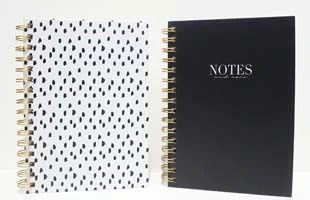 Golden Spiral Notebook