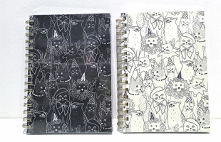 Party Fun Cat Noteboks